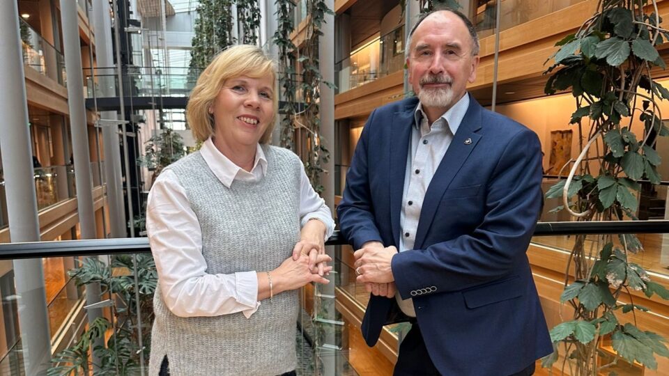 Pekka Toveri ja Anna-Maja Henriksson pääneuvottelijoiksi puolustusalan yksinkertaistamispakettiin